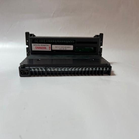 IC660TSS100L Emerson