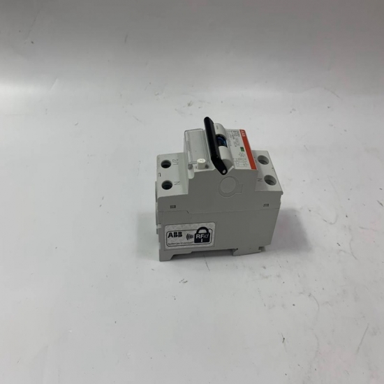 1SFN165503R1000 ABB Bailey