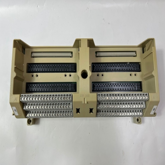 KL4502X1-BA1 Emerson