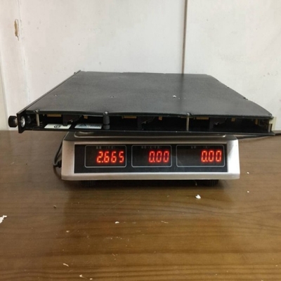 TRICONEX CPU 3007
