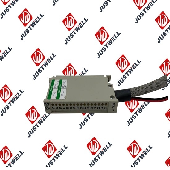 F1101 HIMA