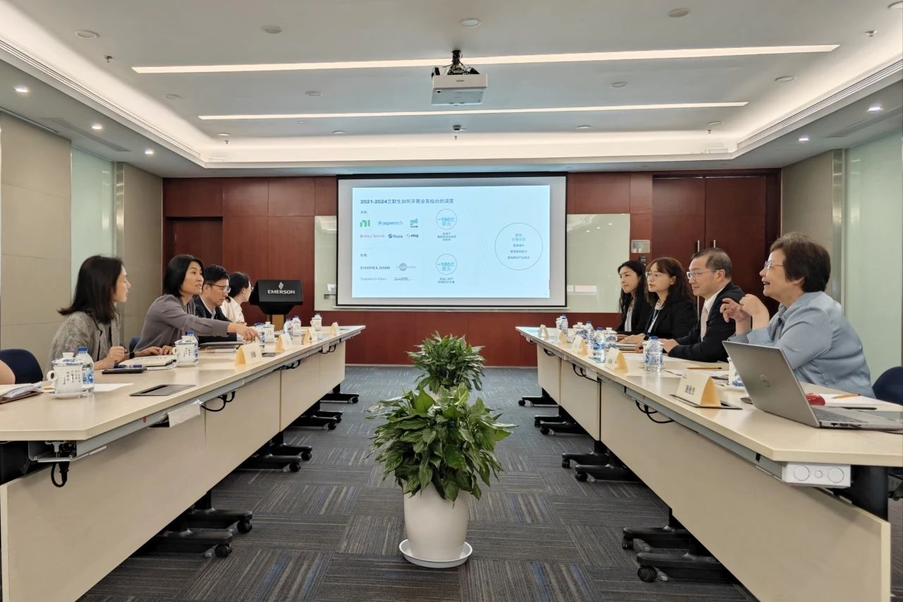 Government and enterprises collaborate to empower each other and jointly develop Emerson's strategy